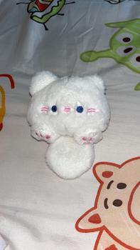 Product Review of Plushie Keyring Doll Enhypen from a**⁹ 0