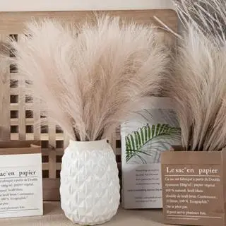 Dekorasi buluh sintetis tinggi 56 cm, hiasan tanaman palsu buluh dengan motif buluh bulu palsu Bunga bunga  kering  dikamar faux  flowers Rotan bunga  plastik bunga  palsu bunga  sudut  ruang  tamu 5