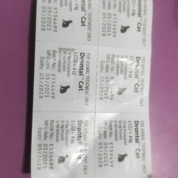 DRONTAL CAT, Obat Cacing kucing 1
