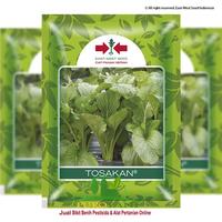 Gambar Benih Biji Sawi Caisim Tosakan Panah Merah - _, Standar dari PUROTANI.ID Kab. Purworejo 1 Tokopedia