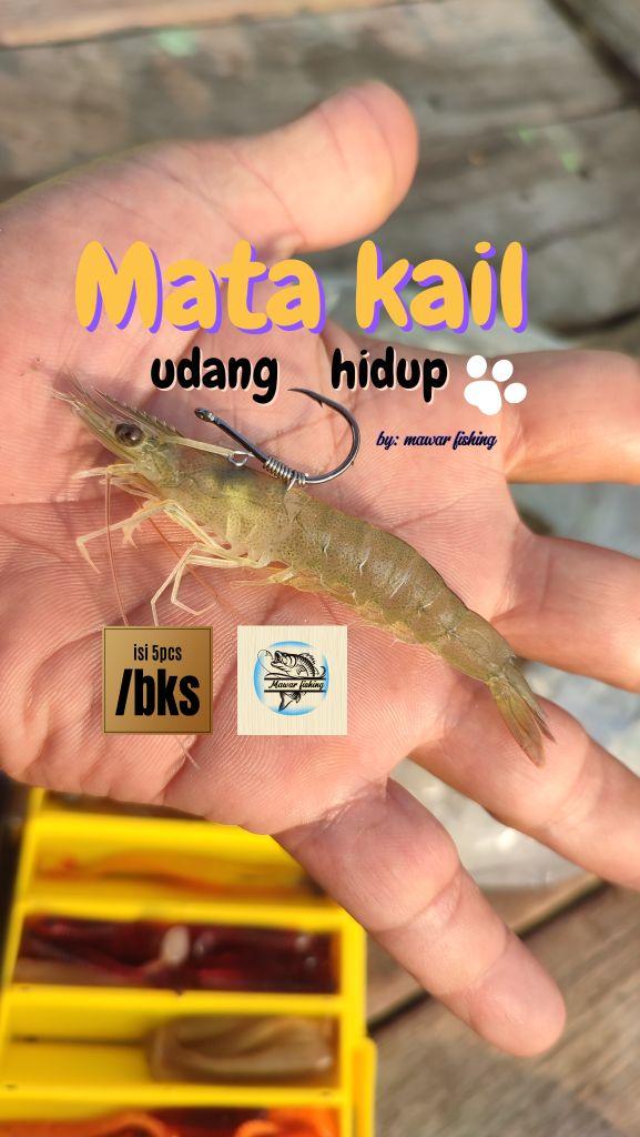 Monster Fishing Mata Kail Udang Hidup untuk Memancing Isi 5 Pcs Paket Umpan Efektif dan Mudah Digunakan - Pancing