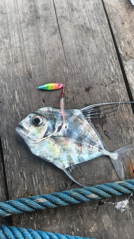 Micro jig Bolo-bolo jig 10gr (glow in the dark)