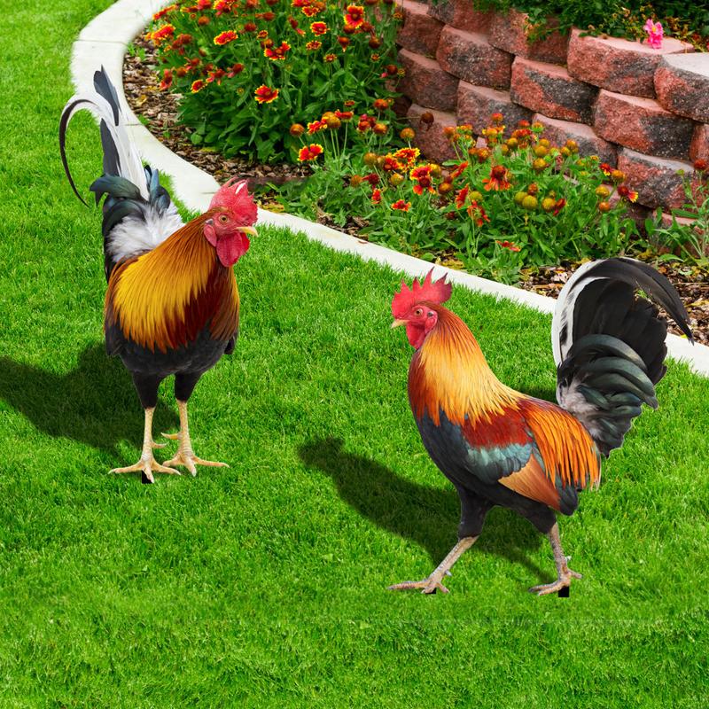 Product Introduction of Courtyard Lawn Backyard Home Decoration Hen Statue Garden Rooster Statue Acrylic Sculpture Outdoor Yard Rooster Decoration 9