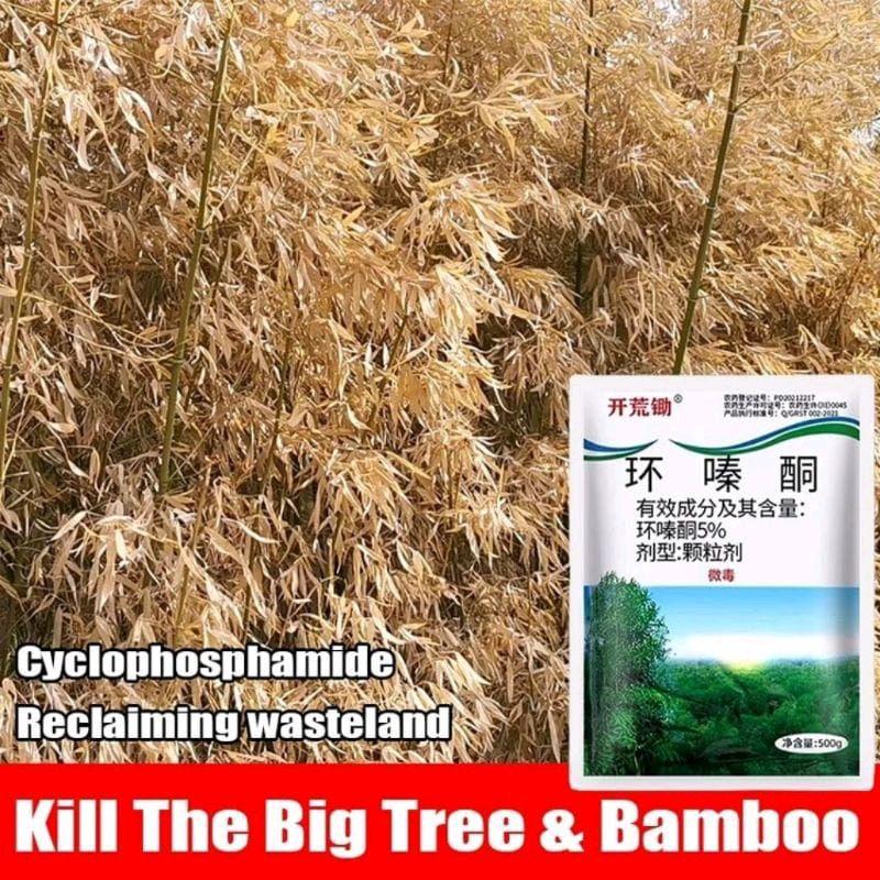 ( Beli 1 Gratis 1 ) KILL TREE Herbisida Biologis Pembasmi Rumput Terampuh - Herbisida Biologis Kill Tree Daun 4