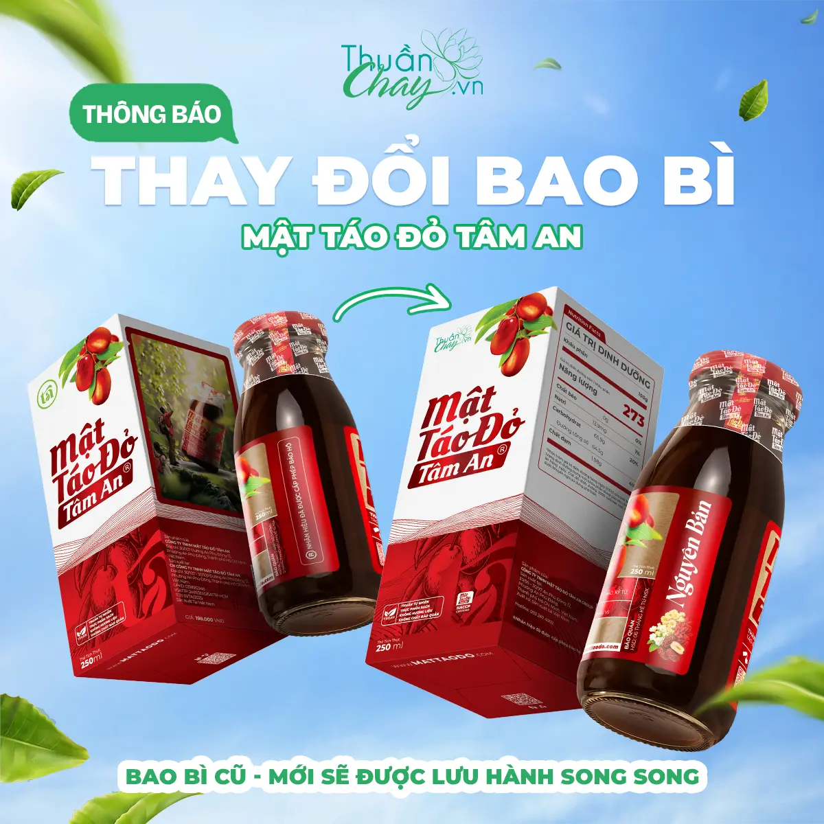 Mật Táo Đỏ Tâm An 250ml Tự Nhiên - Táo Đỏ, Kỷ Tử