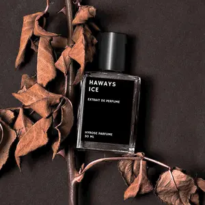 Parfum Haways Ice Extrait De Perfume Parfum Pria