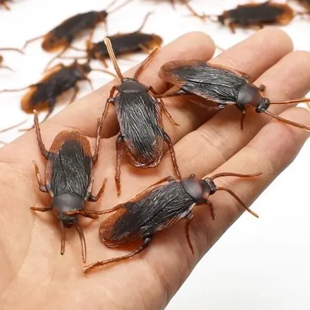 Côn Trùng Gián, Rết, Bọ Cạp, Thạch Sùng, Nhện, Kiến, Ruồi Bằng Nhựa, Nhìn Như Thật.
