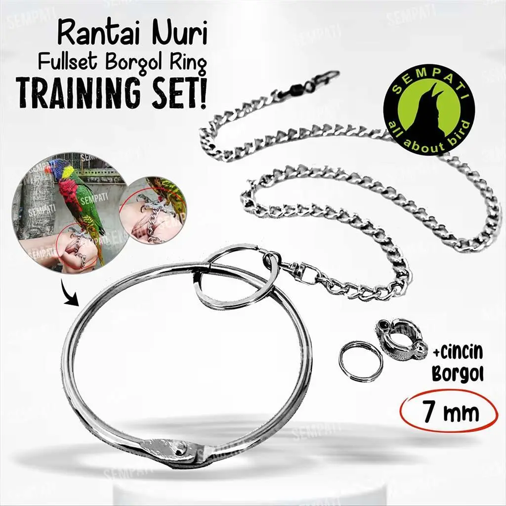 SEMPATI Rantai Kaki Burung Nuri Pelangi Puter Pelung Tekukur Derkuku Fullset Gelang Ring Borgol 7 Mm Free Flaying Ff Rantai Gelang Kaki Burung Perkutut Nuri Hijau Rantai Training Latih Burung Kaka