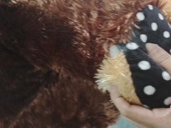 Product Review of Boneka Jumbo Teddy Bear Beruang Besar 1,6 Meter SNI Premium Gemoy - Dewasa, Anak from Y**i 0