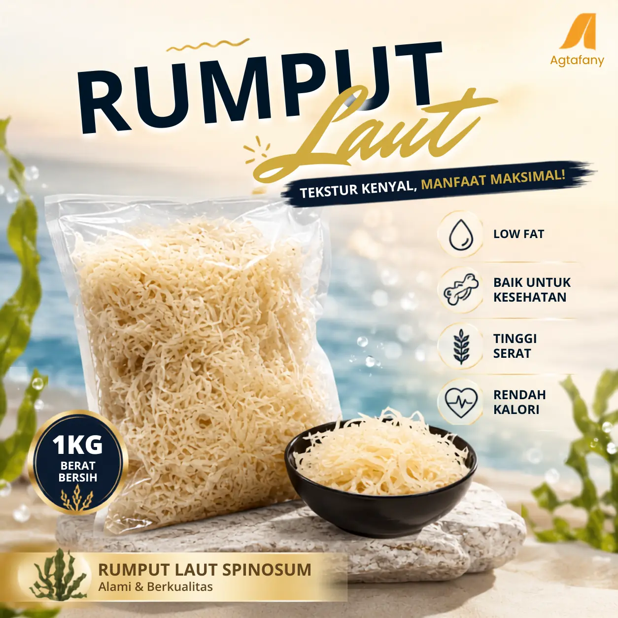 Rumput Laut Kering Spinosum Premium 1 kg | Kenyal Tinggi Serat