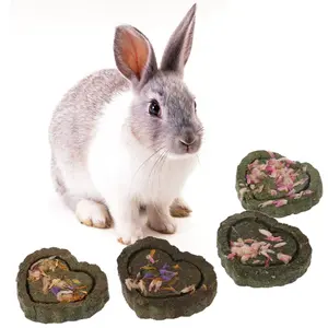 2pcs Pet Hamster Teeth Grinding Grass Toy Guniea Pig Rabbit Chinchilla Chew Toy