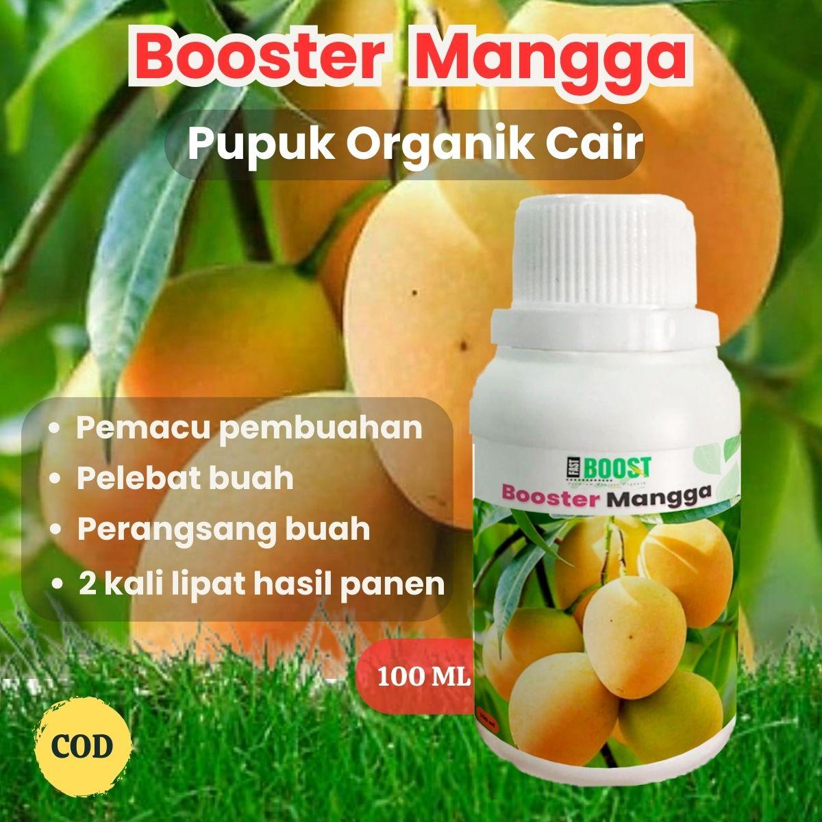 Pupuk Booster Pro Mangga Pelebat Buah Perangsang Terbaik 100ml Cair Multimikroba Fungisida Biopestisida Tanaman