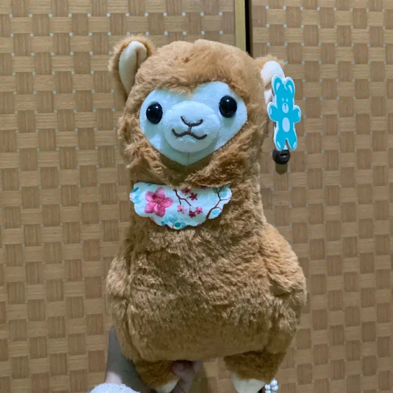 Alpaca coklat