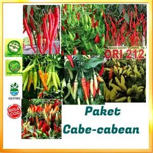 Paket 7 macam Cabe cabean konsumsi + BONUS polibag semai, pupuk npk serta benih lainnya