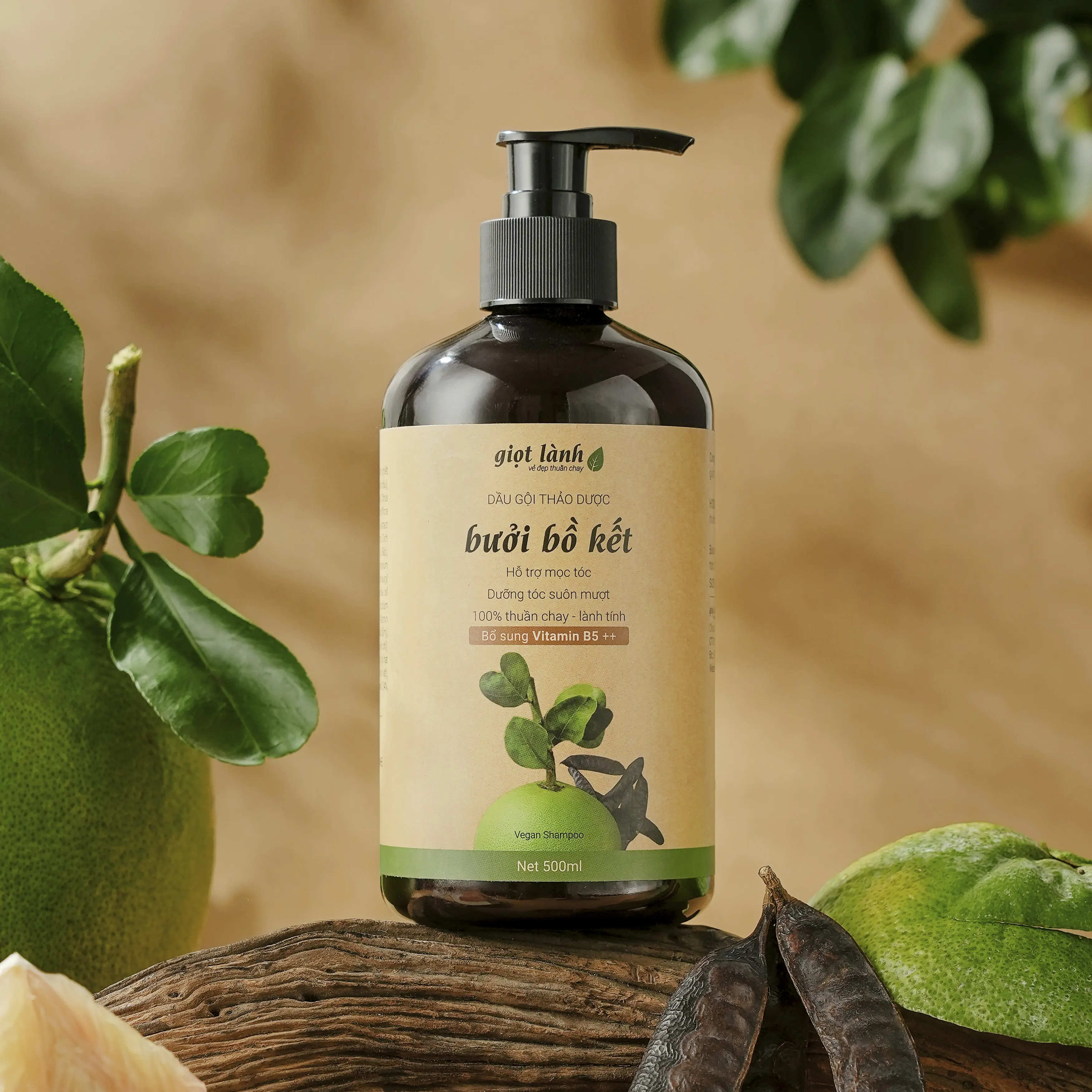 Dầu gội thảo dược Bồ kết Bưởi, Hỗ trợ giảm rụng tóc - Thuần chay Giọt Lành 500ml