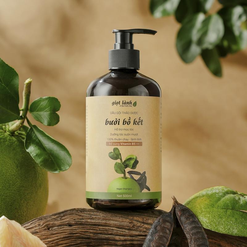 Dầu gội thảo dược Bồ kết Bưởi, Hỗ trợ giảm rụng tóc - Thuần chay Giọt Lành 500ml