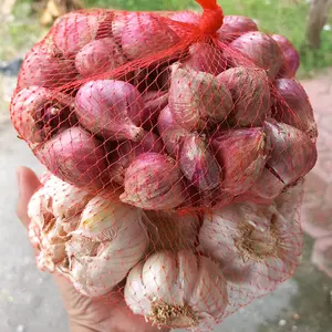 PAKET BAMER+BAPUT KONDISI KERING