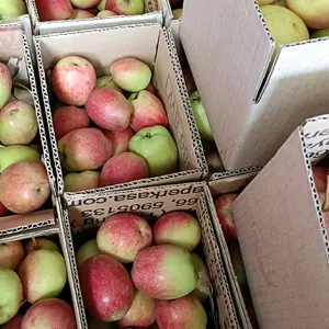 Buah Apel Malang Jenis Ana sekilo 20-25 dengan Rasa Asam Manis - Makanan, Zuriat, Jeruk, Frozen, Lemon, Gula segar HANYA PENGIRIMAN JATIM JATENG MOHON PERHATIANNYA