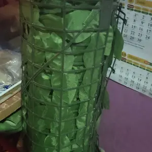 AVELA Rumput Dinding Sintetis Dekorasi Dinding Rambat Pagar 3 Meter x 1 Meter Premium RUMPUT-3-M Hijau Cafe