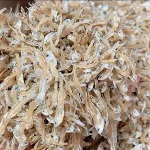 Teri Jengki Tawar Gurih Kering Super Ikan Teri Tawar Kecil Kering Berat 100gr Asli Tuban Food