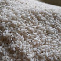 Gambar Beras Menthik Susu Organik "PondokAlam" 5kg dari Pondok Alam Kab. Sleman 5 Tokopedia