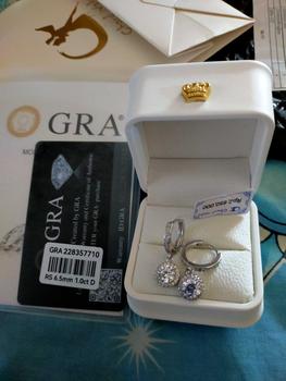 Product Review of 【003Harga telah dibanting, segera di CO】Chard Wake Anting princess round Anting wanita elegan high quality cantik elegan anti Zirconia 1 Carat Sertifikat GRA Kotak Indah   CWE002 from s**e 0