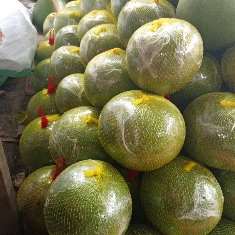 jeruk pamelo madu pati 8-9ons manis no asem,kecut, tanpa biji 4