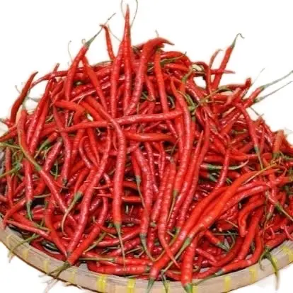Cabe Merah Keriting Fresh - Bahan Masak Segar untuk Resep Anda