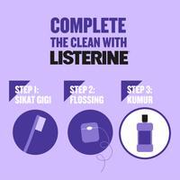 Gambar LISTERINE Multi Protect Zero Antiseptic Mouth Wash 100 ml (PAKET ISI 2) - Obat Kumur Antiseptic dari Kenvue Official Store Kota Administrasi Jakarta Timur 2 Tokopedia