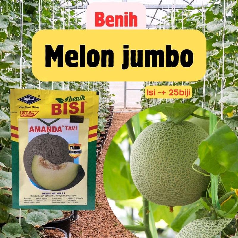 benih melon jumbo isi 25 biji melon super - Shop | Tokopedia