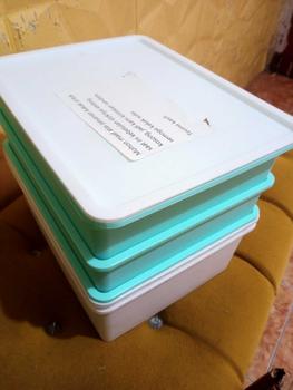 Product Review of Underwear Storage Box Kotak Penyimpanan Pakaian Dalam Kaos Kaki Dengan Tutup Tempat Penyimpanan Pakain Dalam Serbaguna Merah from b**a u** 0