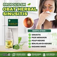 Gambar Herbal Sinusitis, Radang Sinus, Pilek Menahun, Infeksi Sinus, Polip Hidung, Hidung Bau, Benjolan Didalam Hidung, Penghilang Sinusitis Anak dan Dewasa - PROPOLIS SM Perawatan Hidung dari Tria Herbal Store Kota Administrasi Jakarta Barat 1 Tokopedia