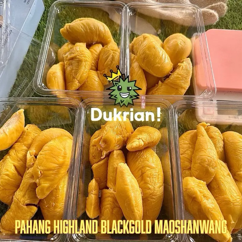 3/4/6 Box Premium Blackgold Maoshanwang Durian (420G+) Same Day/Next Day Delivery by Dukrian! durian singapore