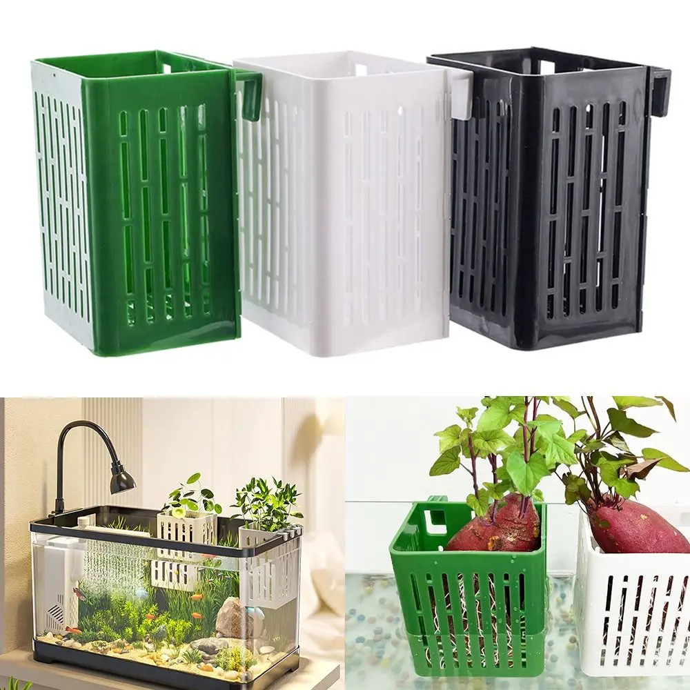 Bể Cá Cảnh Quan Cây Nước, Giỏ Trồng Cây Thủy Canh, Chậu Thủy Tinh Thủy Canh, Giá Đỡ Cây Bể Cá Treo Có Móc, Chậu Phong Cảnh, Cốc Trồng Cây Bể Cá, Thích Hợp Cho Bể Cá, behooff, Hàng Mới Về