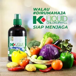 KLIQUID CHLOROPHYLL 500 ML - MINUMAN KESEHATAN K LIQUID Chlorophyll