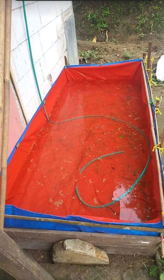 terpal kolam ikan 200x100x50 a3 korea
