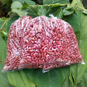 Kacang Merah Kacang Jogo Kering Premium