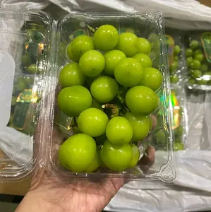 Anggur Shine Muscat 1 Pack - Buah Segar Langsung dari Kemasan