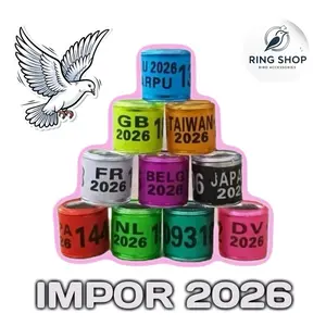 RING MERPATI IMPORT 2026 sudah ada nama - pilihan warna sangat banyak