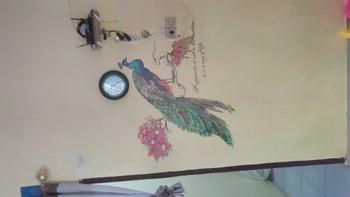 Product Review of Wall Stiker Dinding Aesthetic – Bahan plastik vinyl transparan, ukuran 90cm x 60cm (P x T) per pcs, motif burung merak di atas dahan pohon. Terbuat dari kertas sticker, ideal untuk dekorasi dinding yang elegan dan menarik from n**n k**i 0