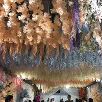 Gambar 50PCS Bunga Cherry Blossom Tanpa Daun Cabang 100cm Sakura Tangkai Panjang Bunga Dekorasi Artificial - Warna Putih, 50pcs dari Dekorasi Tanaman Buatan Kab. Tangerang 4 Tokopedia