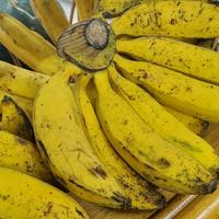 Gambar Pisang Raja Bulu Per Sisir -Raja Alpukat dari RAJA ALPUKAT Kota Administrasi Jakarta Timur 3 Tokopedia