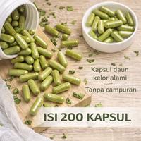 Gambar Kapsul Daun Kelor MoriCapsule isi 200 BPOM dari RumahKelor Kota Administrasi Jakarta Timur 2 Tokopedia