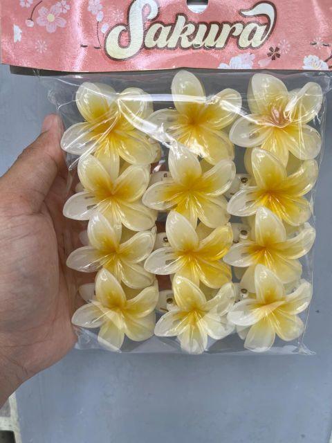 Product Introduction of Jepit kamboja 12 pcs jepit bunga kamboja ukuran 5 cm grosir jepit rambut korea 5