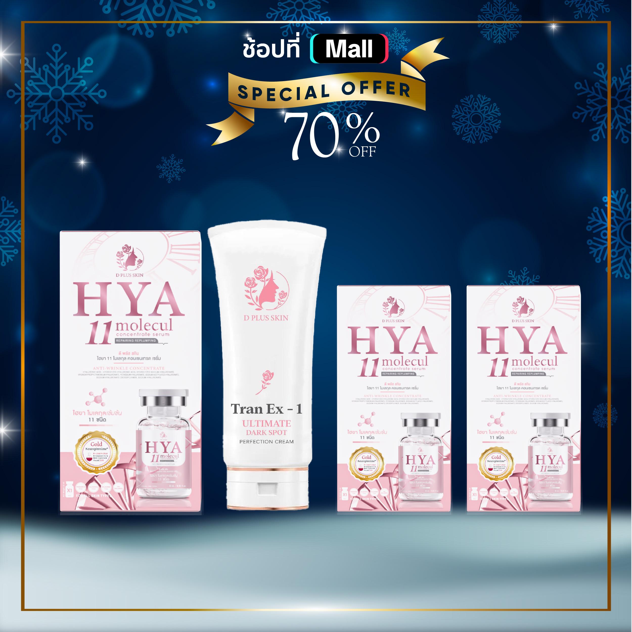 (เซ็ทฝ้า) hya11 3 กล่องTranX1 1 กล่อง