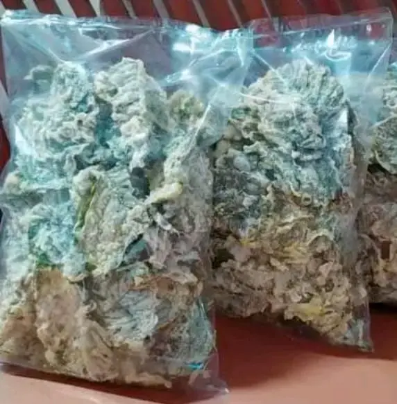 REMUKAN KRIPIK BAYAM/KREMESAN KEMASAN 1KG 4