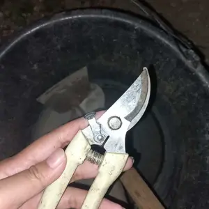 Gunting Dahan Ranting Bunga Alat Potong Bengkok Tanaman Berkebun Stainless Steel