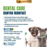 Gambar Obat Gigi dan Pembersih Karang Anti Bakteri & Bau Mulut Alami dari Caesar JacO Kota Administrasi Jakarta Barat 2 Tokopedia