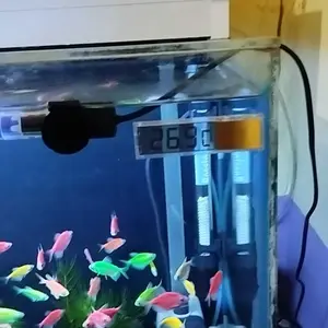 Thermometer Digital Aquascape serbaguna / Termometer Pengukur Suhu Aquarium Reef