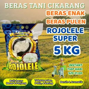 Promo beras pulen super setra ramos putih bersih bebas kutu kualitas terjamin promo murah Rojolele Super 5 kg